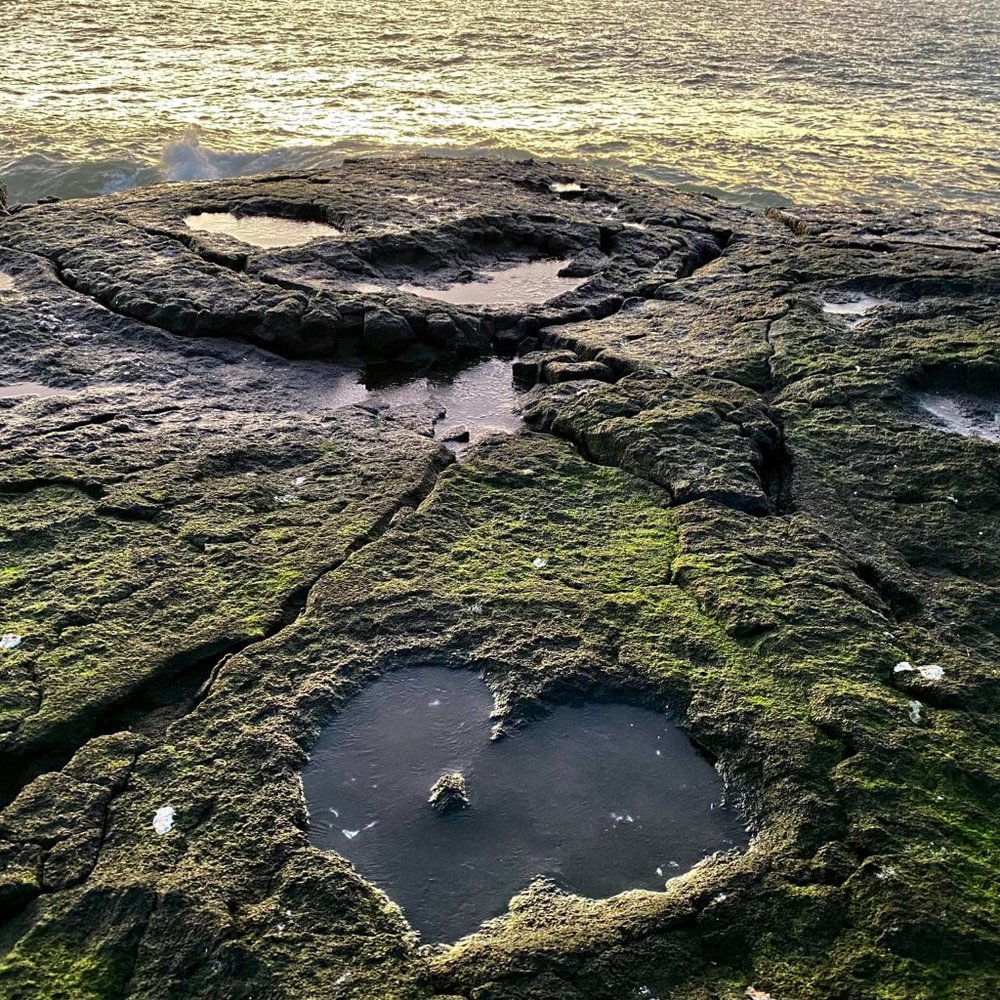 Meet your Posher, Posh